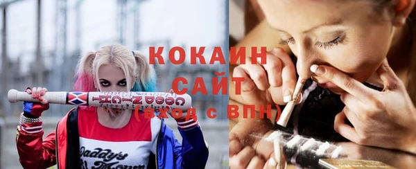 ешки Дмитриев