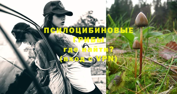 ешки Дмитриев