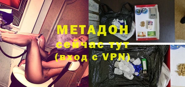 твердый Гусев