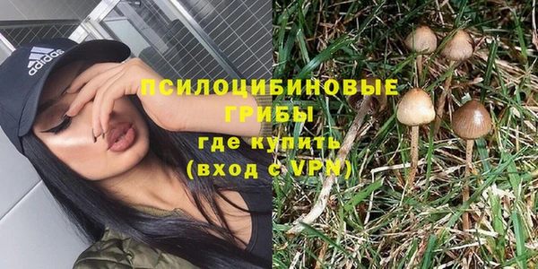 Альфа ПВП Дмитров