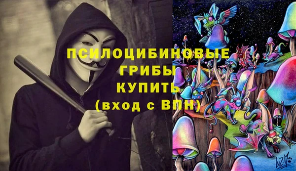 Альфа ПВП Дмитров